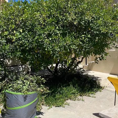 Ciotahome لا سيوتا